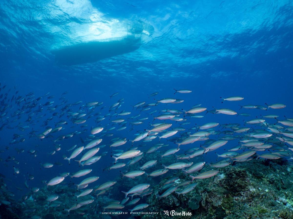 藍洞潛水blue Hole Dive Center Bed and Breakfast Heng-ch'un Εξωτερικό φωτογραφία